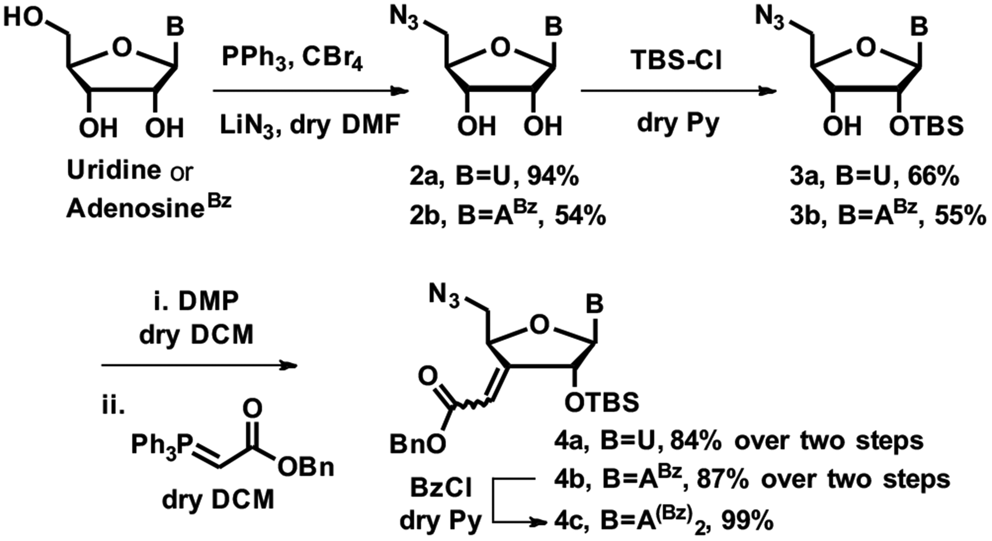 Scheme 1.