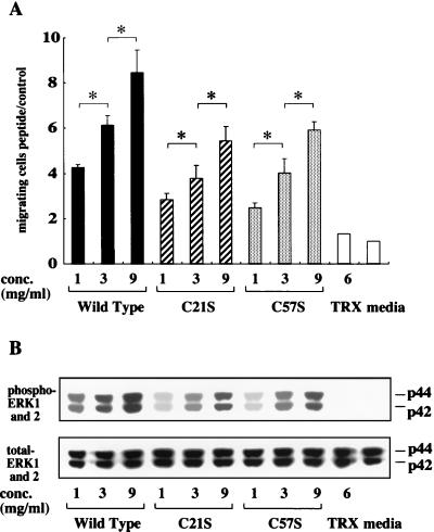 FIG. 8