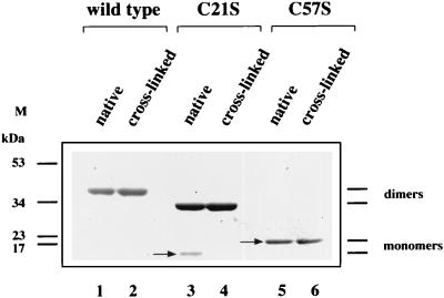 FIG. 9