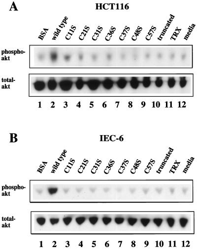 FIG. 11