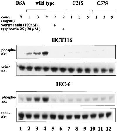 FIG. 12