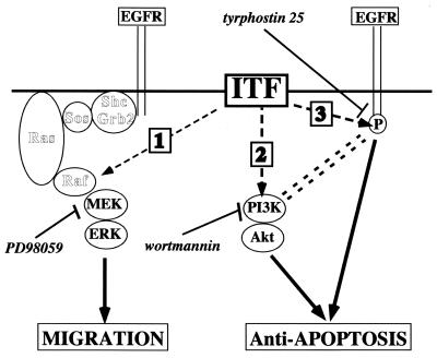 FIG. 13