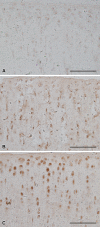 Fig. 6A–C