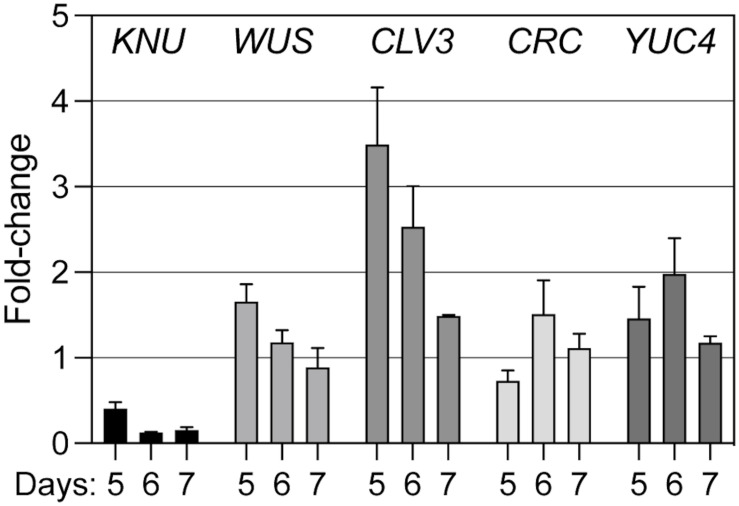 FIGURE 4