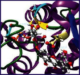 graphic file with name BMRI2021-5125681.tab3.i007.jpg