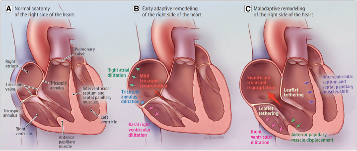 Figure 2