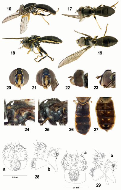 Figures 16–29.