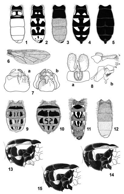 Figures 1–15.