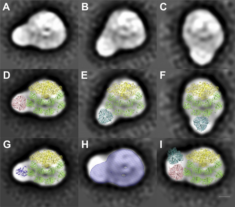 Fig. 3.