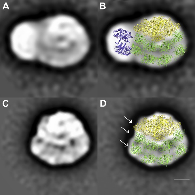 Fig. 4.