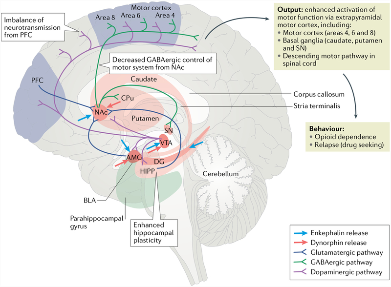 Fig. 2 |