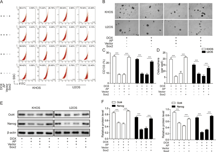 Figure 6