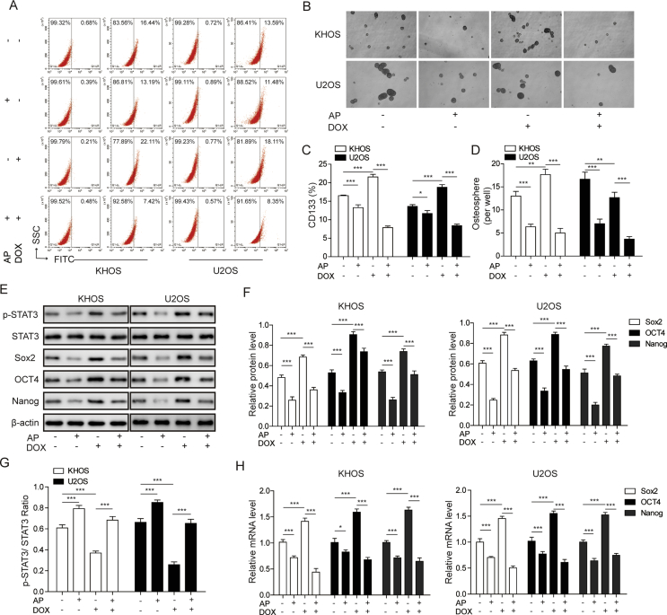 Figure 3