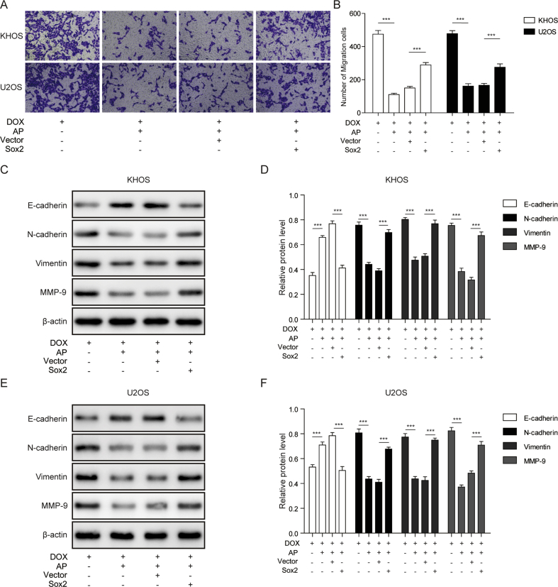 Figure 5