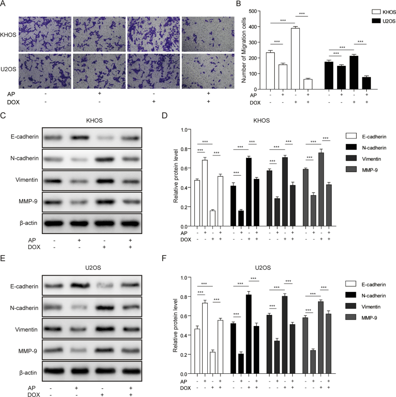 Figure 2