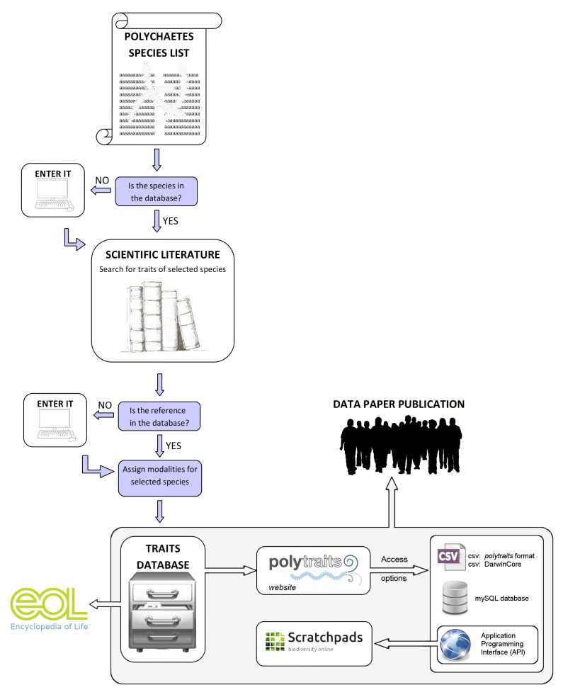 Figure 3.