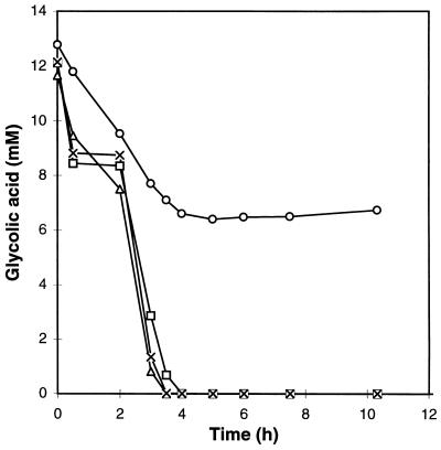 FIG. 6