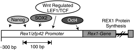 FIG. 3.