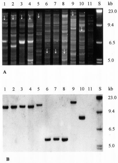 FIG.2.