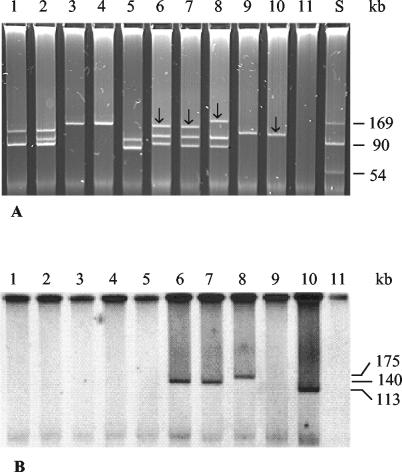 FIG. 3.