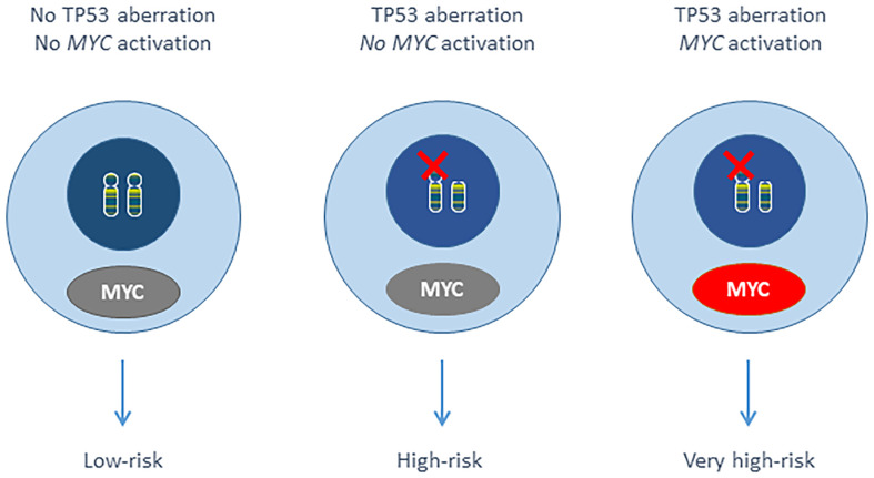 Figure 1