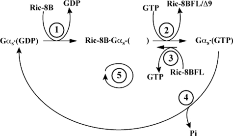 FIGURE 8.