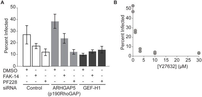 Fig 5