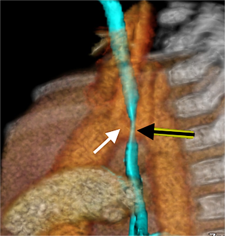 Fig. 9