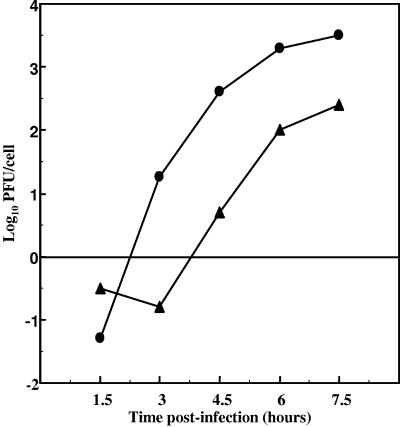 FIG. 1.