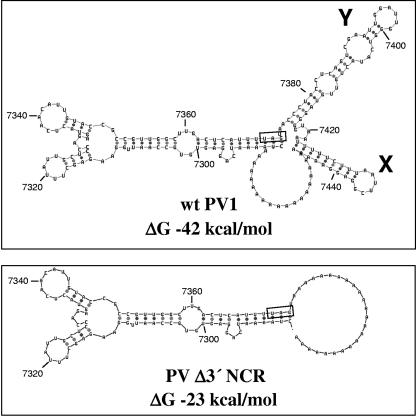 FIG. 7.