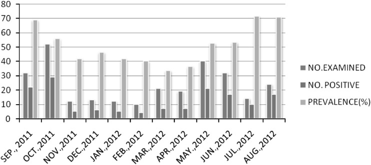 Fig. 2