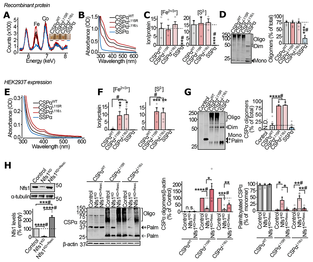 Figure 1 |