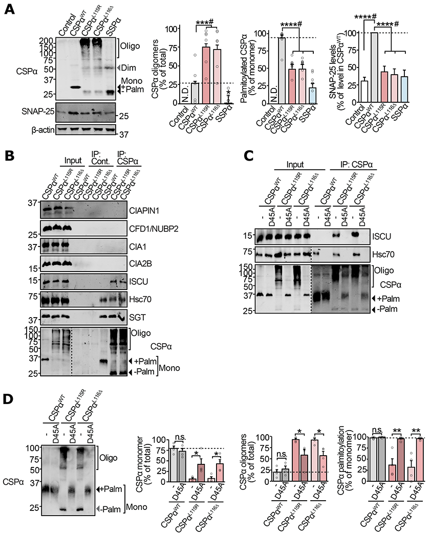 Figure 2 |