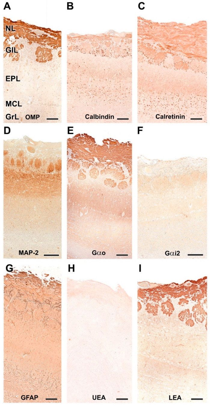 Figure 23