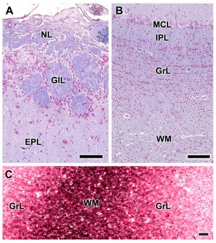 Figure 21