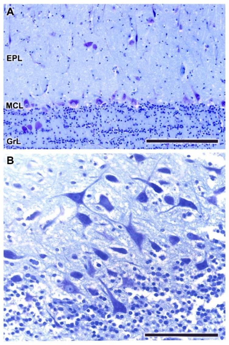 Figure 20