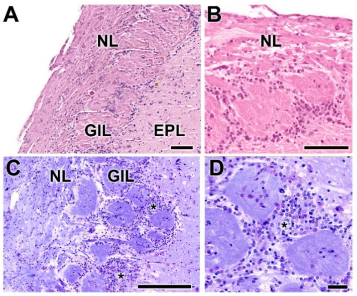 Figure 19