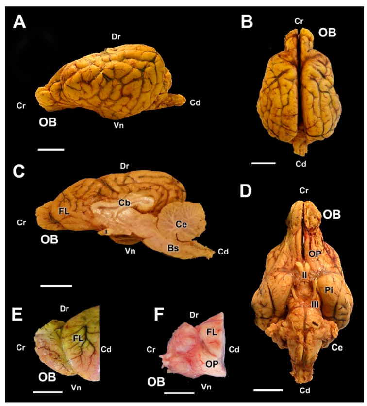 Figure 9