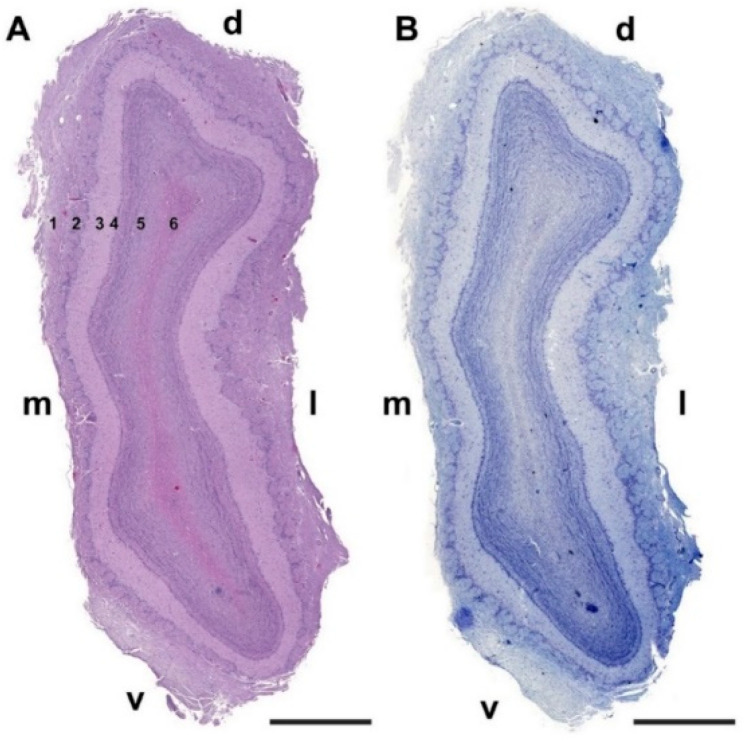 Figure 18