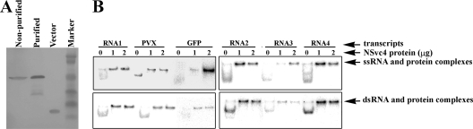 FIG. 5.