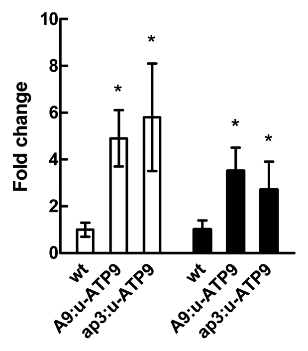 Figure 4.