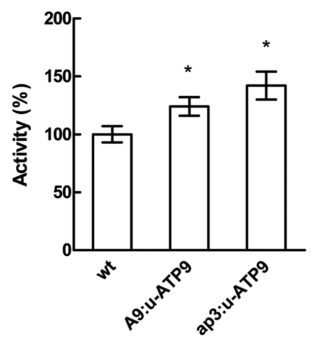 Figure 3.