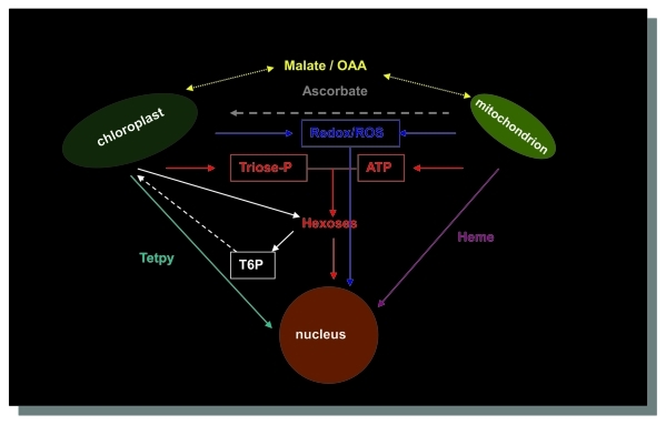 Figure 1.