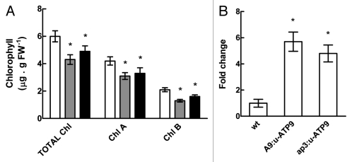 Figure 2.