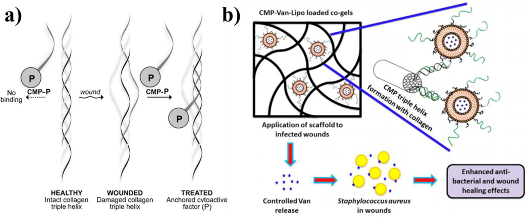 Figure 4: