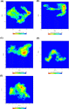 Fig. 13