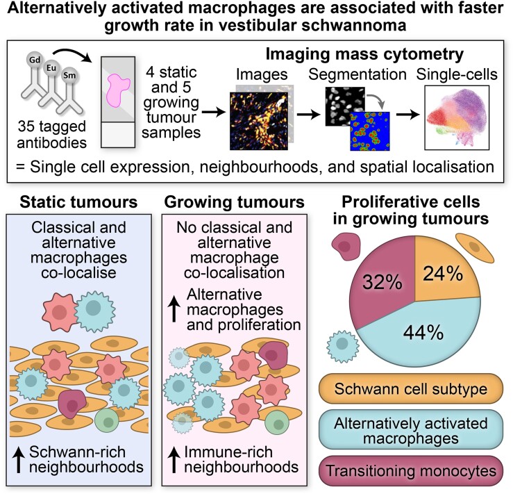 Graphical Abstract