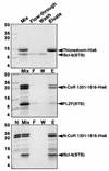 FIG. 6.