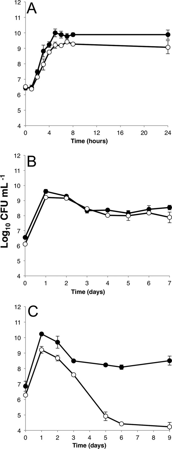 FIG 4 