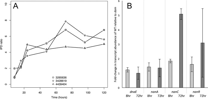 FIG 3 